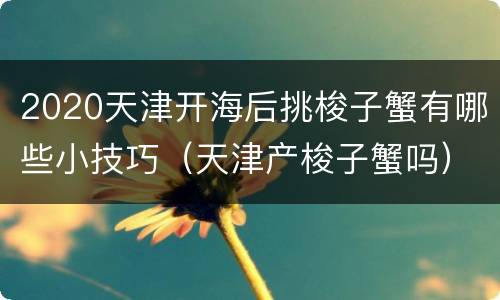 2020天津开海后挑梭子蟹有哪些小技巧（天津产梭子蟹吗）