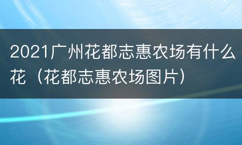 2021广州花都志惠农场有什么花（花都志惠农场图片）