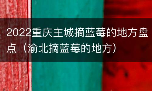 2022重庆主城摘蓝莓的地方盘点（渝北摘蓝莓的地方）