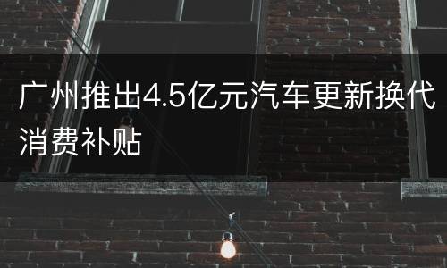 广州推出4.5亿元汽车更新换代消费补贴