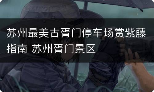 苏州最美古胥门停车场赏紫藤指南 苏州胥门景区