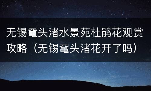 无锡鼋头渚水景苑杜鹃花观赏攻略（无锡鼋头渚花开了吗）