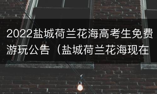 2022盐城荷兰花海高考生免费游玩公告（盐城荷兰花海现在这个季节开放吗）