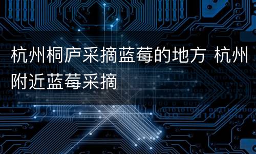 杭州桐庐采摘蓝莓的地方 杭州附近蓝莓采摘