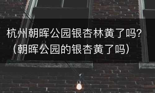 杭州朝晖公园银杏林黄了吗？（朝晖公园的银杏黄了吗）