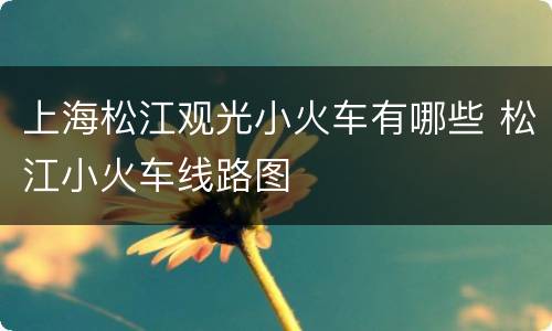 上海松江观光小火车有哪些 松江小火车线路图
