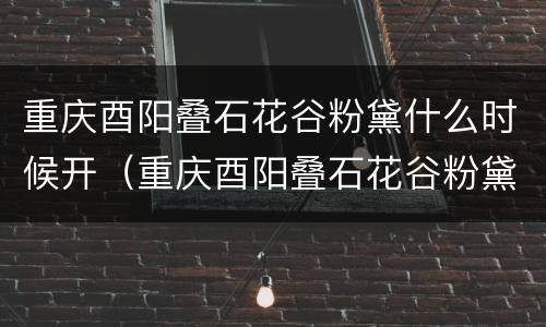 重庆酉阳叠石花谷粉黛什么时候开（重庆酉阳叠石花谷粉黛什么时候开的）