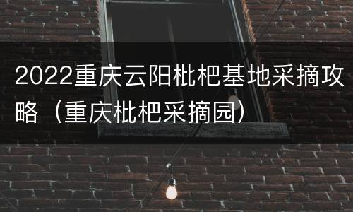 2022重庆云阳枇杷基地采摘攻略（重庆枇杷采摘园）