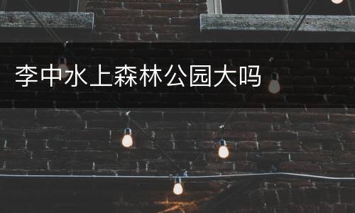 李中水上森林公园大吗