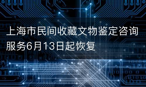 上海市民间收藏文物鉴定咨询服务6月13日起恢复