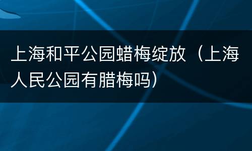 上海和平公园蜡梅绽放（上海人民公园有腊梅吗）