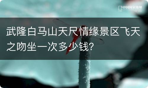 武隆白马山天尺情缘景区飞天之吻坐一次多少钱？