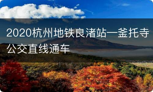 2020杭州地铁良渚站—釜托寺公交直线通车