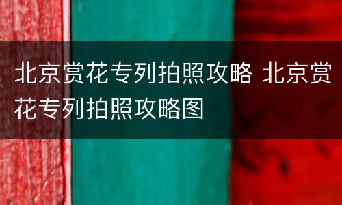 北京赏花专列拍照攻略 北京赏花专列拍照攻略图