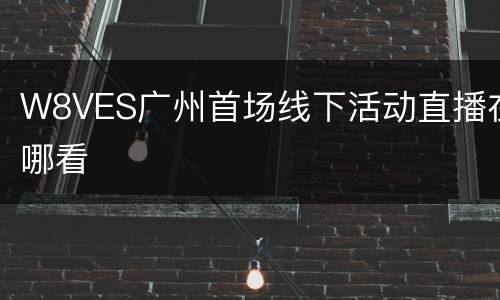 W8VES广州首场线下活动直播在哪看