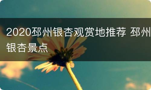 2020邳州银杏观赏地推荐 邳州银杏景点