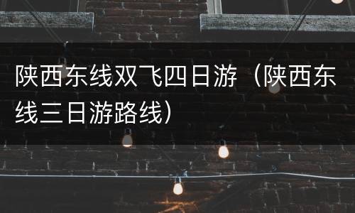 陕西东线双飞四日游（陕西东线三日游路线）