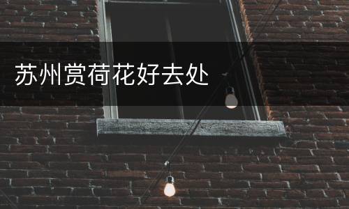 苏州赏荷花好去处
