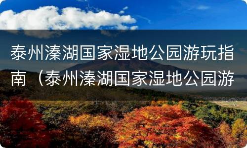 泰州溱湖国家湿地公园游玩指南（泰州溱湖国家湿地公园游玩指南图）