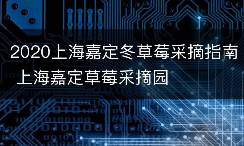 2020上海嘉定冬草莓采摘指南 上海嘉定草莓采摘园