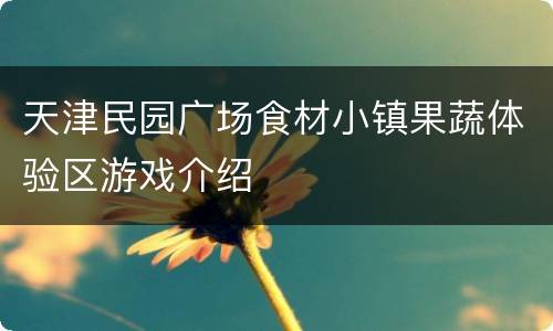 天津民园广场食材小镇果蔬体验区游戏介绍