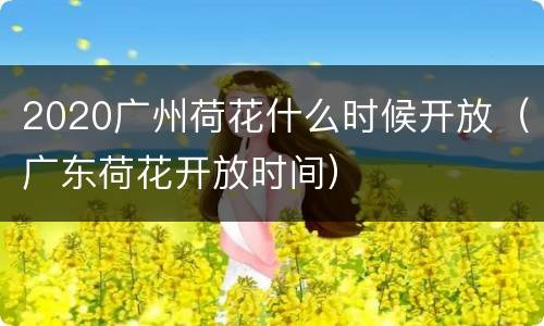 2020广州荷花什么时候开放（广东荷花开放时间）