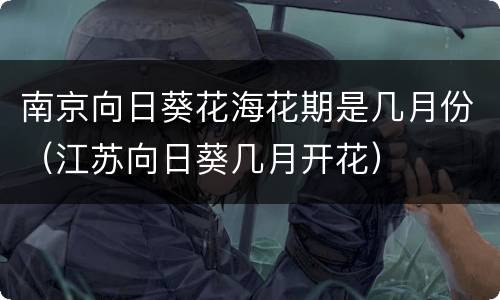 南京向日葵花海花期是几月份（江苏向日葵几月开花）