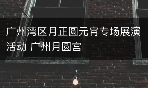 广州湾区月正圆元宵专场展演活动 广州月圆宫