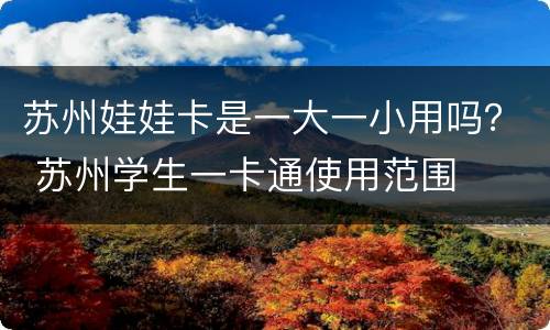 苏州娃娃卡是一大一小用吗？ 苏州学生一卡通使用范围