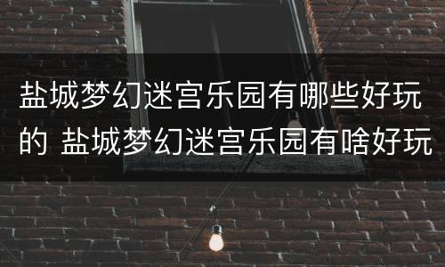 盐城梦幻迷宫乐园有哪些好玩的 盐城梦幻迷宫乐园有啥好玩吗