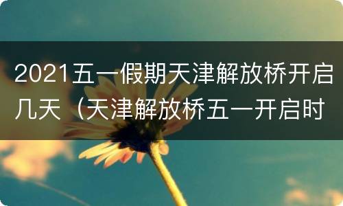2021五一假期天津解放桥开启几天（天津解放桥五一开启时间）