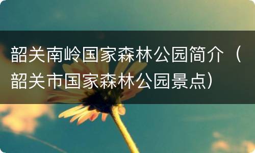 韶关南岭国家森林公园简介（韶关市国家森林公园景点）