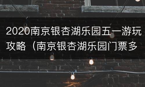 2020南京银杏湖乐园五一游玩攻略（南京银杏湖乐园门票多少元）