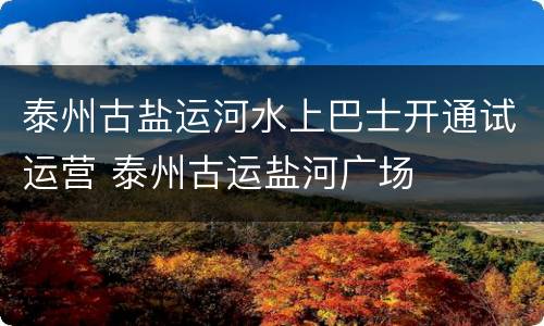泰州古盐运河水上巴士开通试运营 泰州古运盐河广场