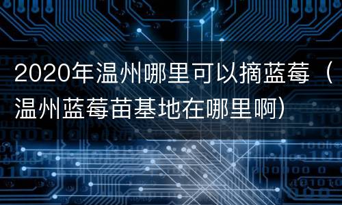 2020年温州哪里可以摘蓝莓（温州蓝莓苗基地在哪里啊）