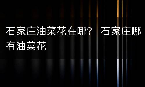 石家庄油菜花在哪？ 石家庄哪有油菜花
