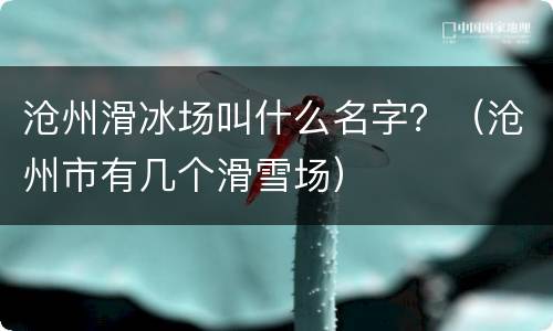 沧州滑冰场叫什么名字？（沧州市有几个滑雪场）