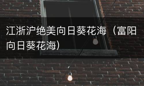 江浙沪绝美向日葵花海（富阳向日葵花海）