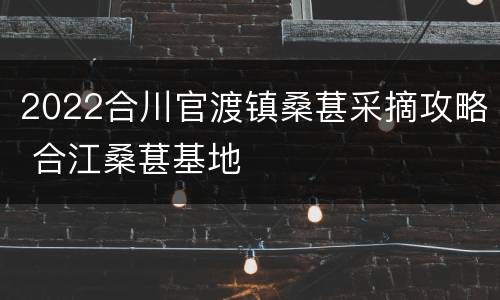 2022合川官渡镇桑葚采摘攻略 合江桑葚基地