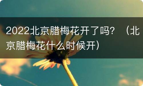 2022北京腊梅花开了吗？（北京腊梅花什么时候开）