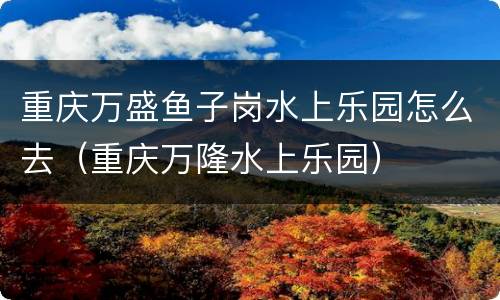 重庆万盛鱼子岗水上乐园怎么去（重庆万隆水上乐园）