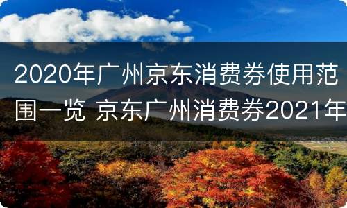 2020年广州京东消费券使用范围一览 京东广州消费券2021年还有吗