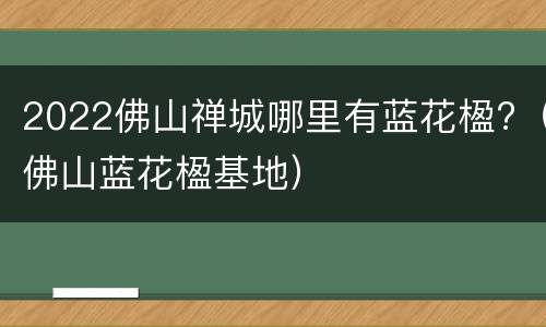 2022佛山禅城哪里有蓝花楹?（佛山蓝花楹基地）