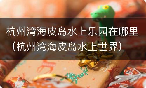 杭州湾海皮岛水上乐园在哪里（杭州湾海皮岛水上世界）