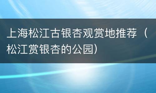 上海松江古银杏观赏地推荐（松江赏银杏的公园）