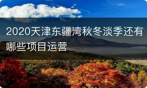 2020天津东疆湾秋冬淡季还有哪些项目运营