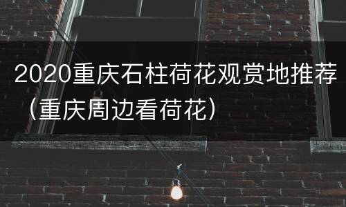 2020重庆石柱荷花观赏地推荐（重庆周边看荷花）