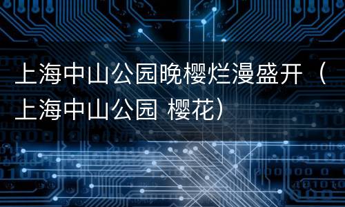 上海中山公园晚樱烂漫盛开（上海中山公园 樱花）