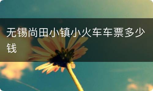 无锡尚田小镇小火车车票多少钱