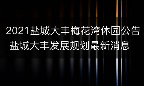 2021盐城大丰梅花湾休园公告 盐城大丰发展规划最新消息